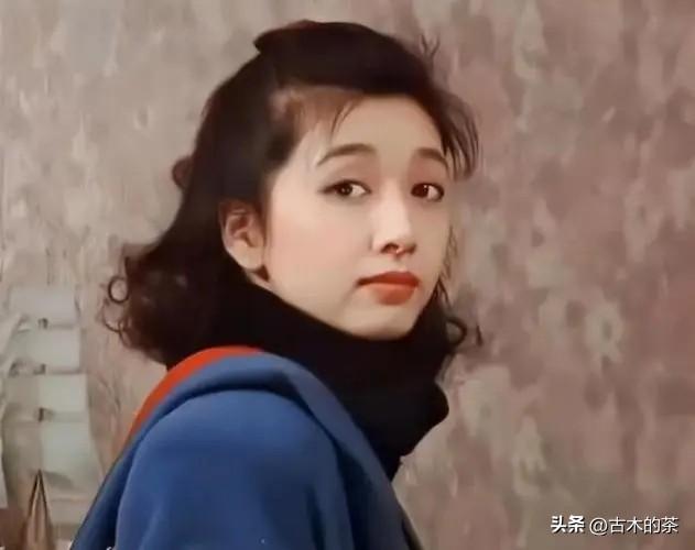 王志文最新主演的電視劇，深度解析與觀感分享