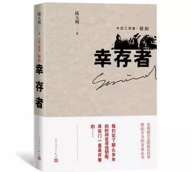 丁長林章亮雨最新章節(jié)閱讀，探尋故事的深度與魅力