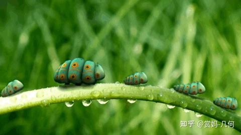 最新小電影，探索微觀世界的精彩瞬間