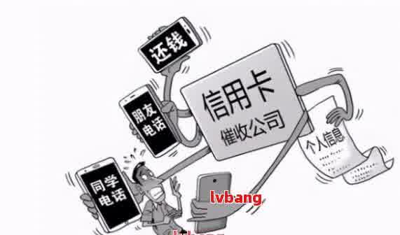 臺(tái)風(fēng)最新情況，影響及應(yīng)對(duì)措施的全面解析