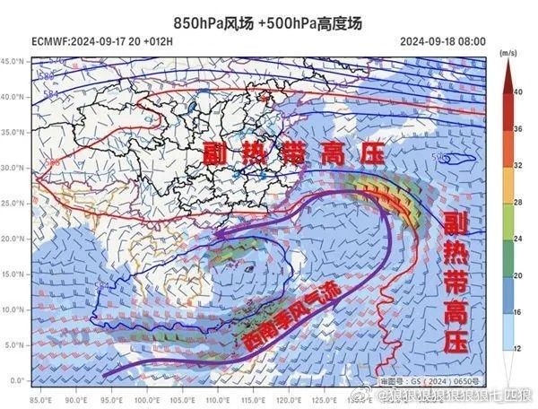 十六號臺風最新消息，全方位解析與應對策略